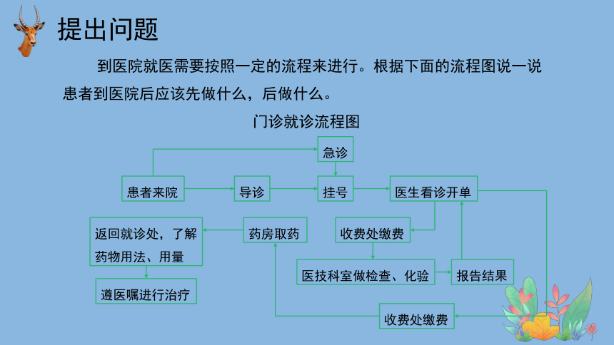 科学大象版（2017秋）六年级上册1.4《不一样的“感冒”》课件（共18张PPT）