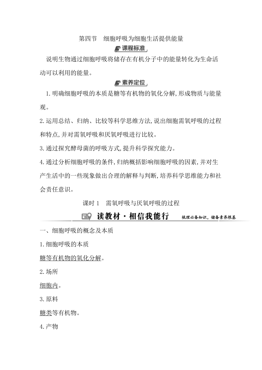 浙科版（2019）生物必修一 第三章第四节课时1　需氧呼吸与厌氧呼吸的过程学案（含解析）