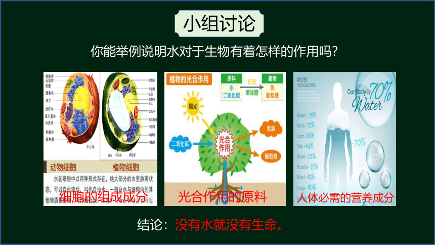 8.23.1生物的生存依赖一定的环境课件2023--2024学年北师大版生物八年级下册(共30张PPT)