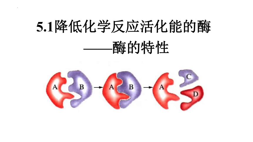 5.1.2降低化学反应活化能的酶-酶的特性课件-(共24张PPT)人教版必修1