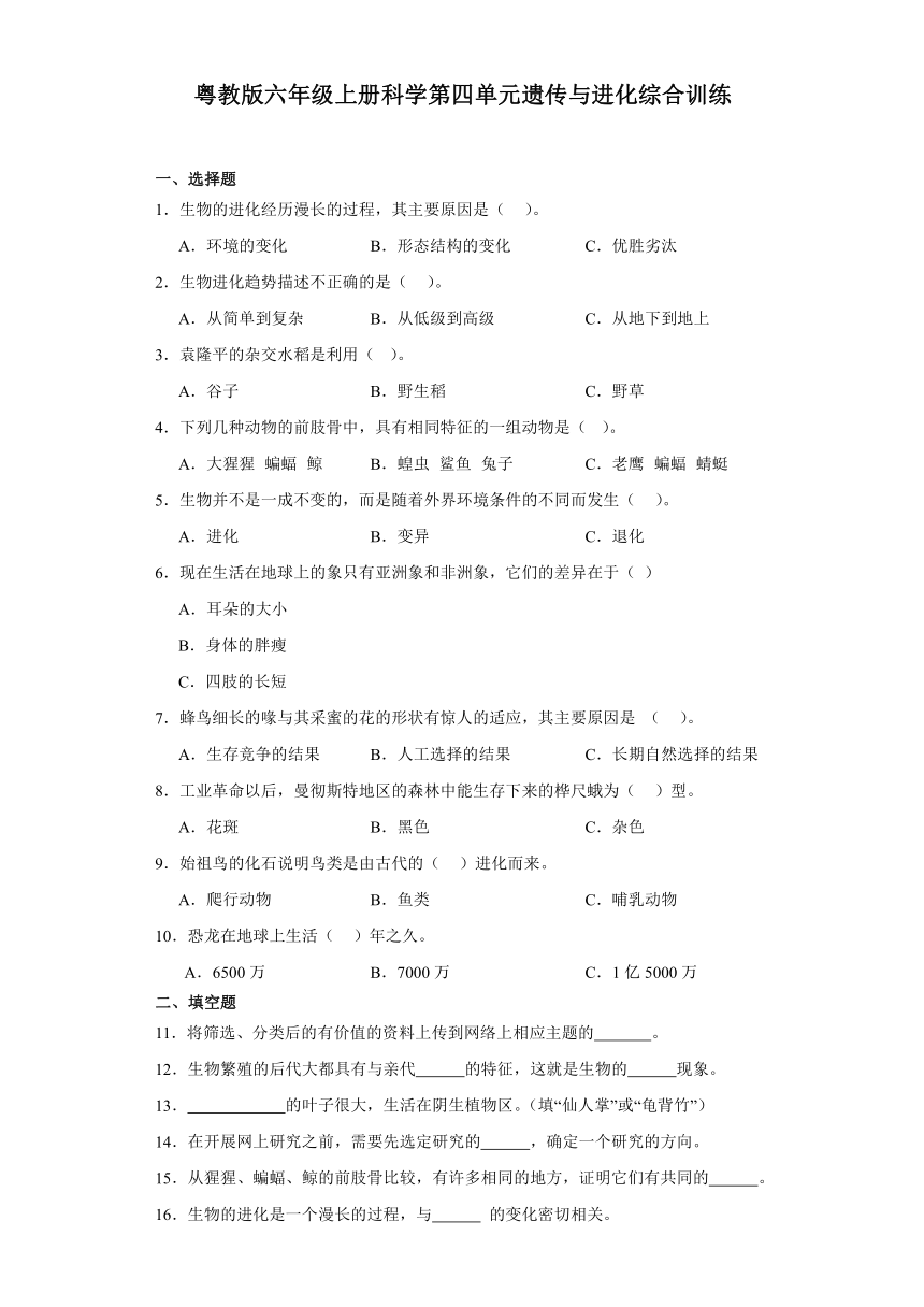 粤教版六年级上册科学第四单元遗传与进化综合训练（含答案）