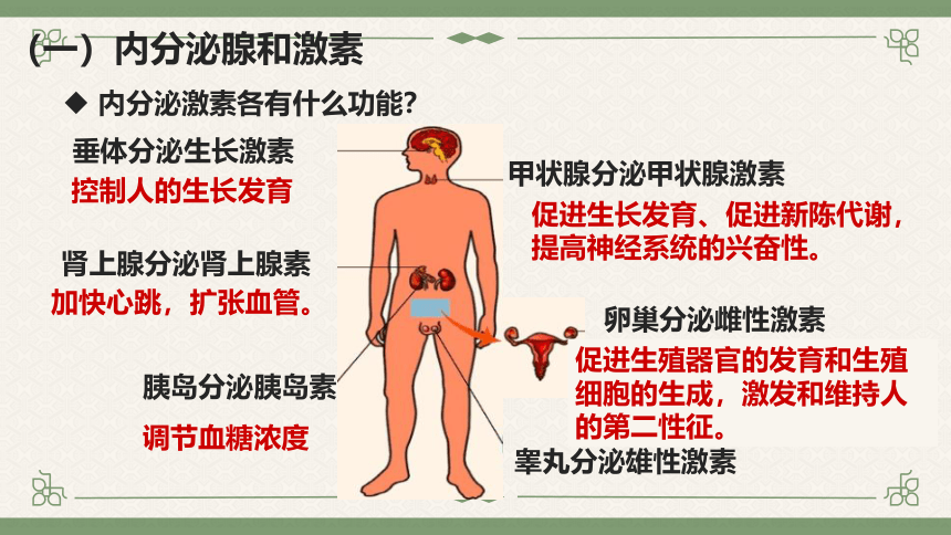 3.2 人体的激素调节（课件 15张ppt）