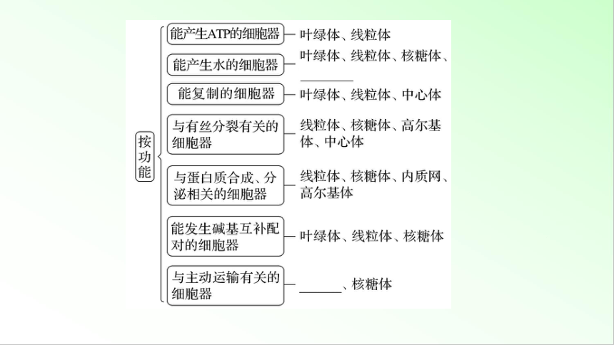 新教材生物一轮复习课件：第2单元 细胞的基本结构和物质的运输 第2讲　细胞器之间的分工与协调配合(共84张PPT)