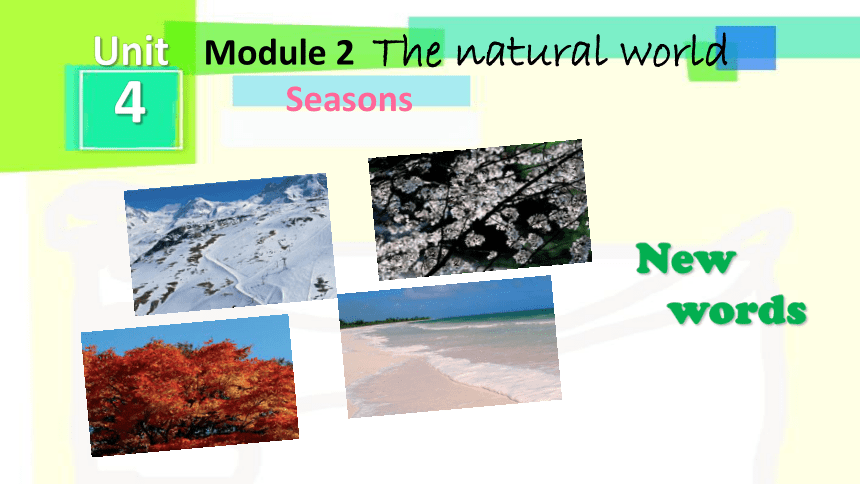 牛津深圳版（广州沈阳通用）  七年级上册  Module 2 The natural world  Unit 4 Seasons课件(共22张PPT)
