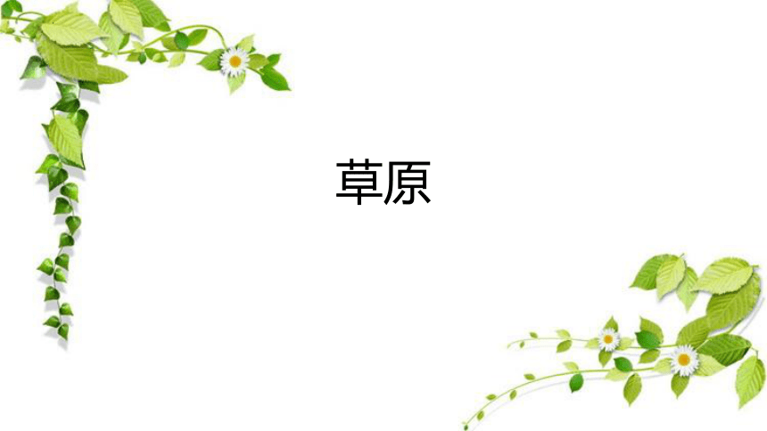 1《草原》课件(共26张PPT)