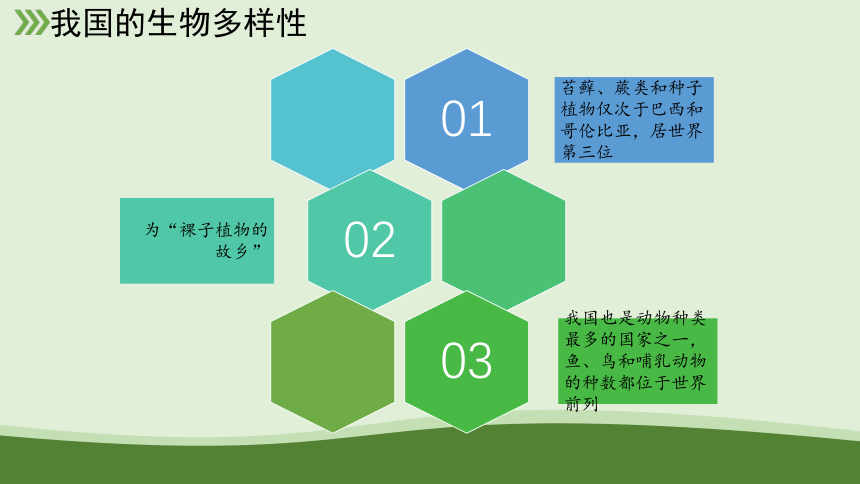 6.2 认识生物的多样性 课件 人教版生物八年级上册(共29张PPT)