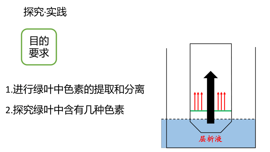 5.4光合作用第1课时 课件(共46张PPT)高中人教版生物必修一