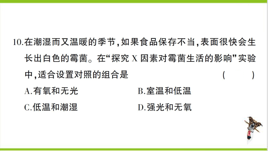 【掌控课堂-创优作业】人教版生物七(上)第一单元第一、二章综合训练 (课件版)