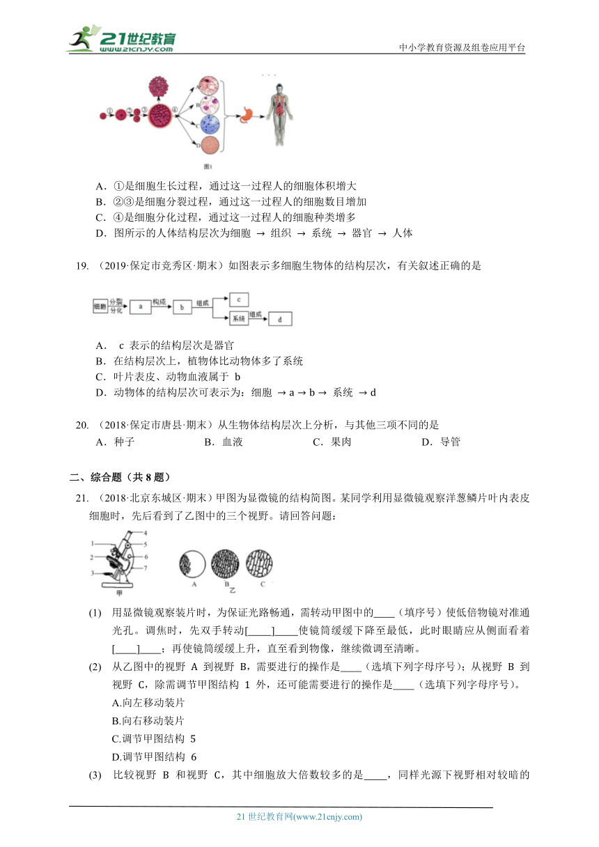 2023-2024学年初中生物济南版七年级上册期中测试模拟题（解析+答案）