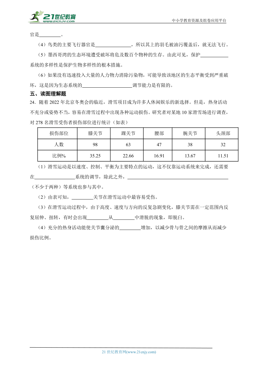 黑龙江省2023年秋期人教版生物八年级期中测试题1（含解析）