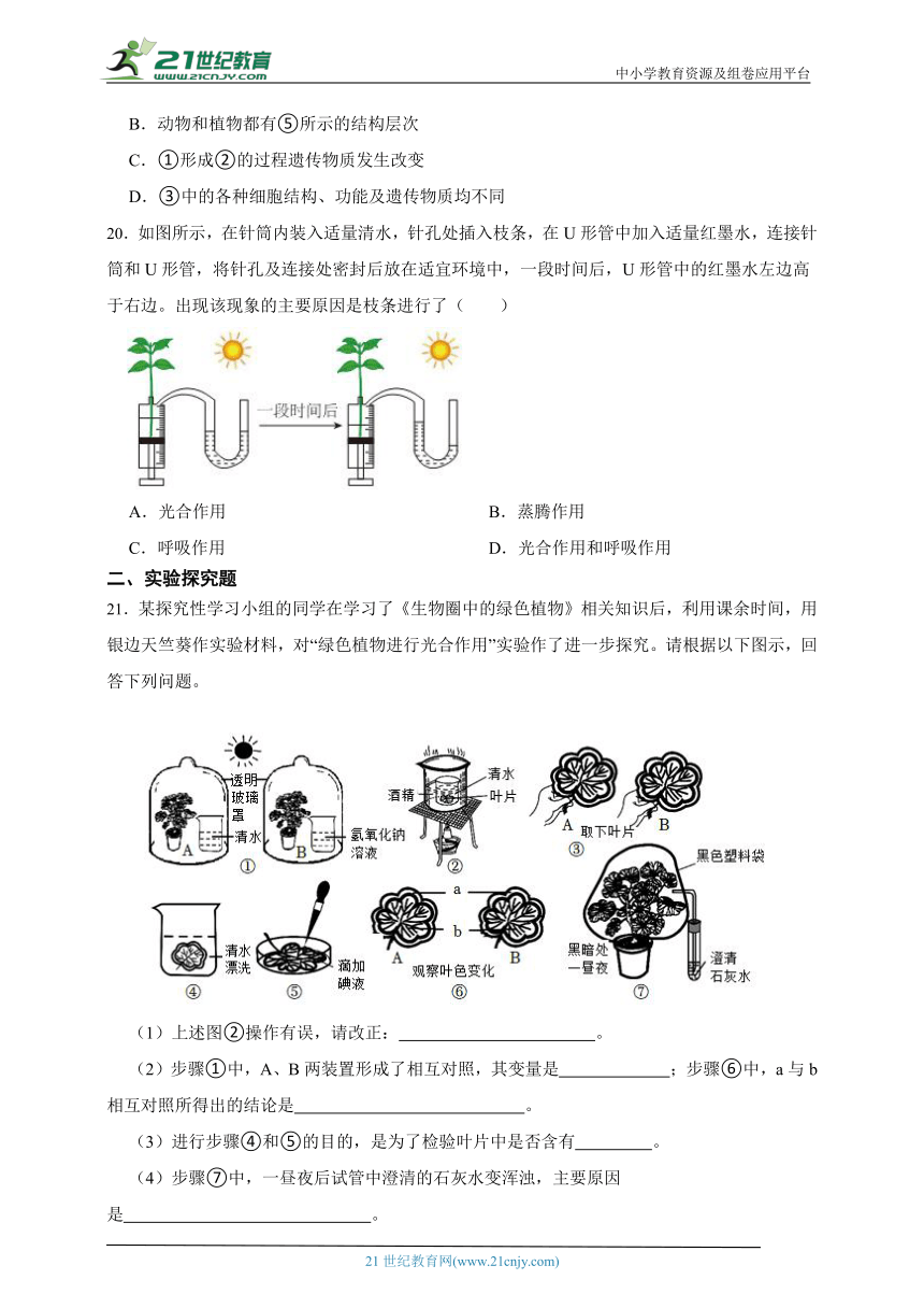 2023年秋期北师大版生物七年级期末测试题1（含解析）