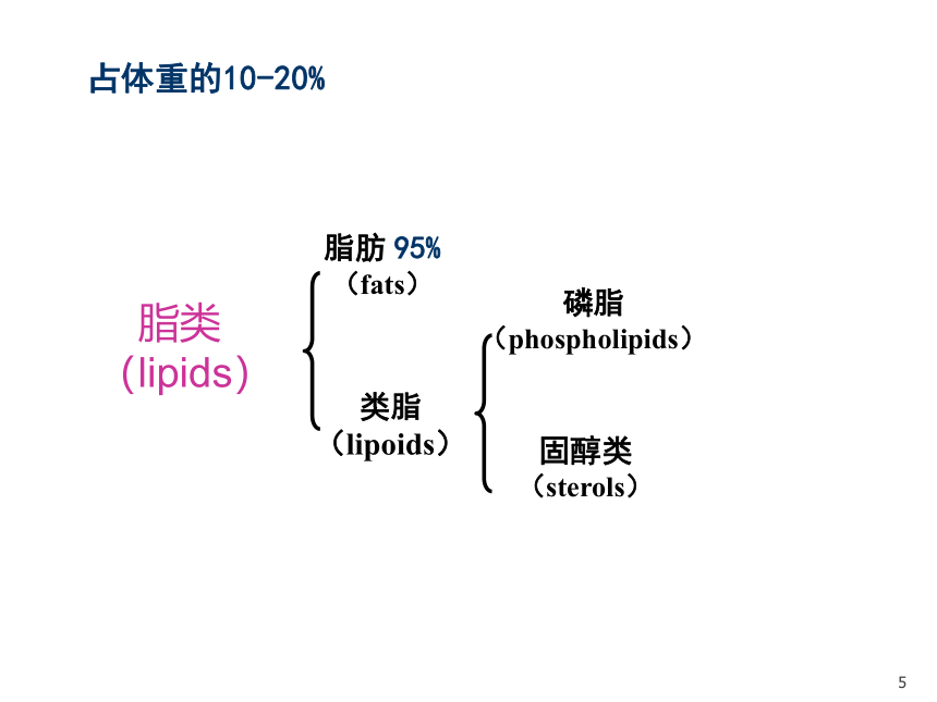 1营养学基础-5脂类 课件(共45张PPT)- 《营养与食品卫生学》同步教学（人卫版·第7版）