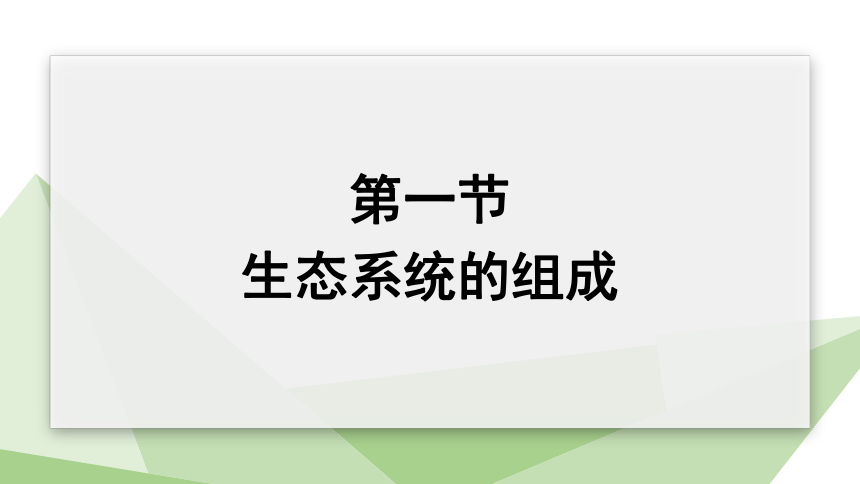 7.19.1 生态系统的组成 课件 (共23张PPT)2023-2024学年初中生物苏教版八年级上册