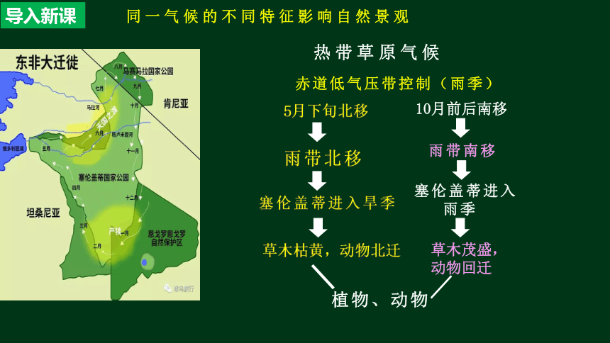 3.3气候的形成及其对自然地理景观的影响课件（共79张ppt）