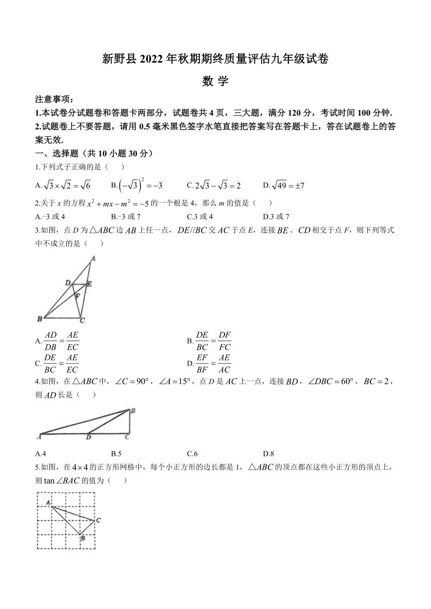 河南省南阳市新野县2022-2023学年九年级上学期期末数学试题（含答案）