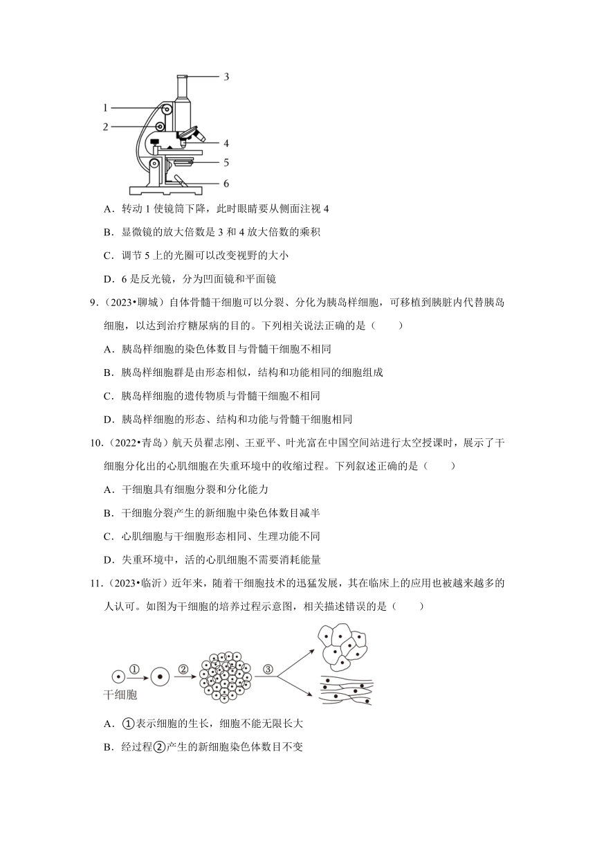 专题1生命体的结构层次——2022-2023年山东省中考生物试题分类（含解析）