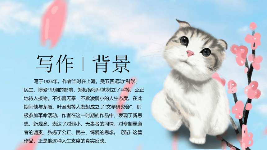 16  猫  课件(共25张PPT)