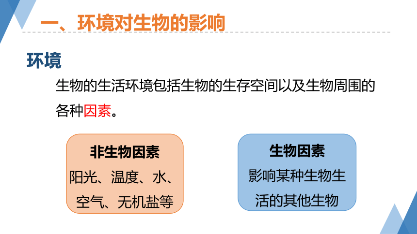 2.1生物与环境的相互关系（课件 24张PPT）