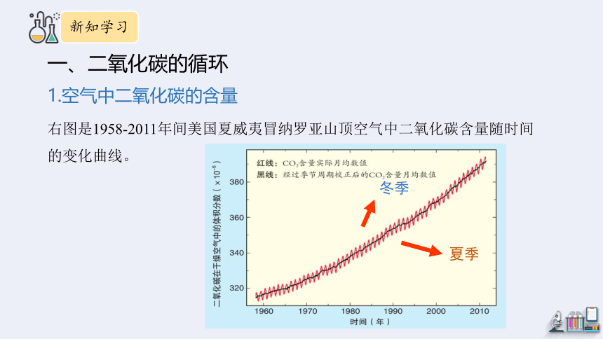 6.3 大自然中的二氧化碳 第1课时  课件(共19张PPT内嵌视频) 2023-2024学年鲁教版化学九年级上册