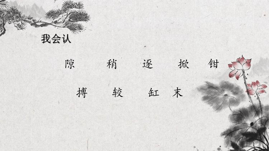 15.《小虾》课件(共21张PPT)