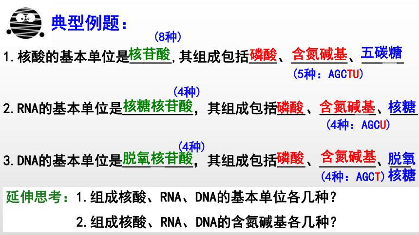 2.5 核酸是遗传信息的携带者 课件（共26张PPT）-高一生物（人教版2019必修1）