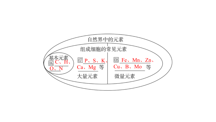 人教生物必修1复习课件：2.1 细胞中的元素和化合物