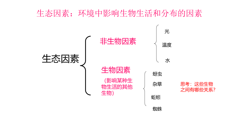 1.2.1生物与环境的关系课件(共35张PPT)