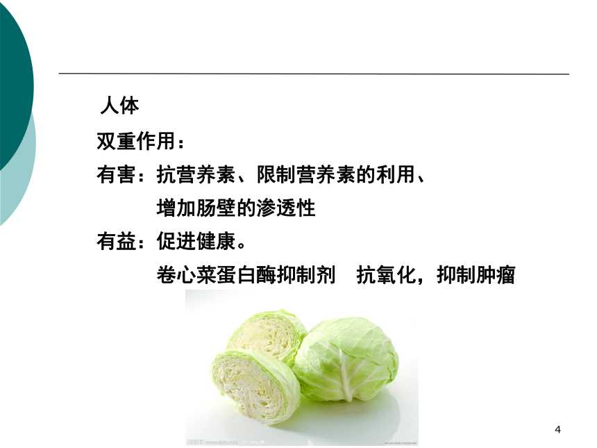 2食物中的生物活性成分 课件(共20张PPT)- 《营养与食品卫生学》同步教学（人卫版·第7版）