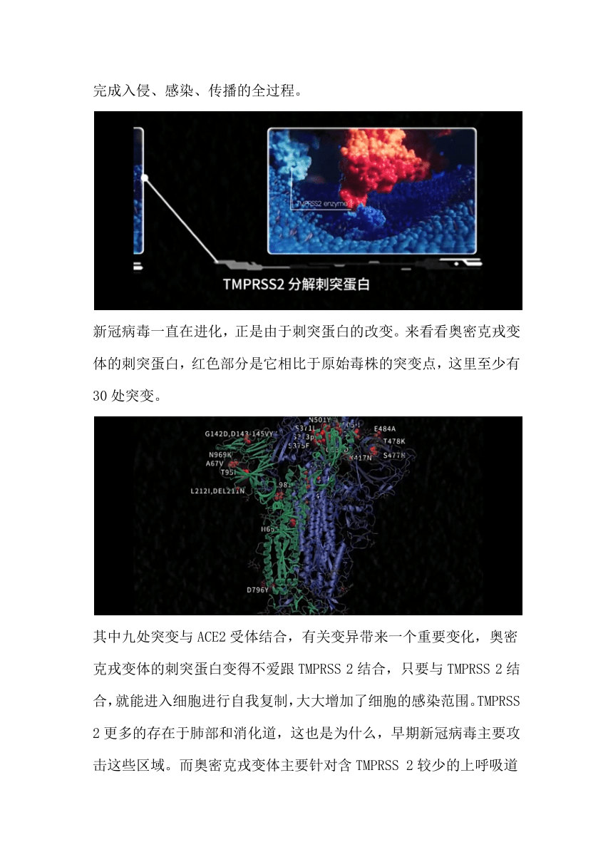 4.4 免疫学的应用——免疫预防 教学设计 2022-2023学年高二上学期生物人教版（2019）选择性必修1