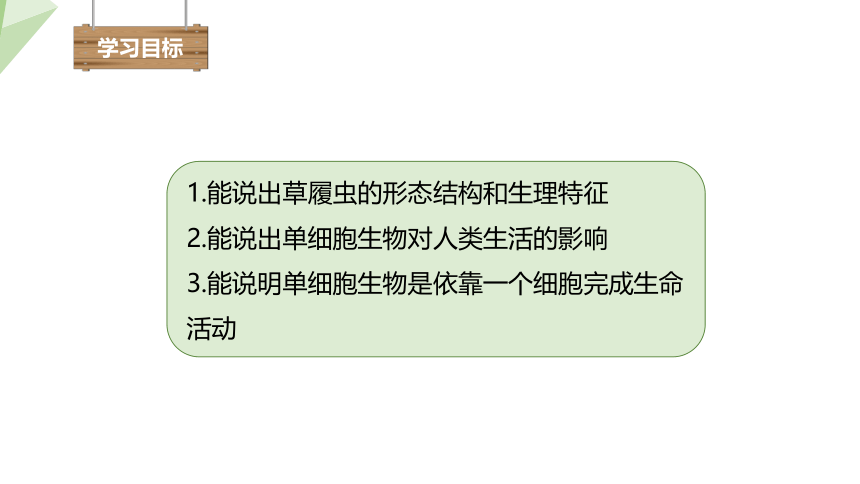 1.2.4 单细胞生物体 课件（共27张PPT+内嵌视频1个） 2023-2024学年初中生物冀少版七年级上册