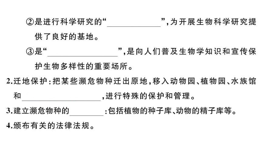 6.3保护生物的多样性练习课件(共17张PPT)