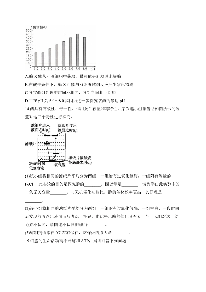 （5）酶和ATP——2023-2024学年高一生物学人教版（2019）寒假轻松衔接（解析版）