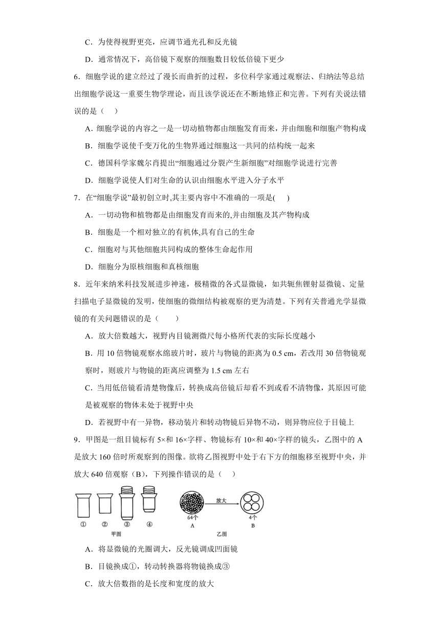 2.1细胞学说—现代生物学的“基石”同步练习2023-2024学年高一上学期生物苏教版必修1（含答案）