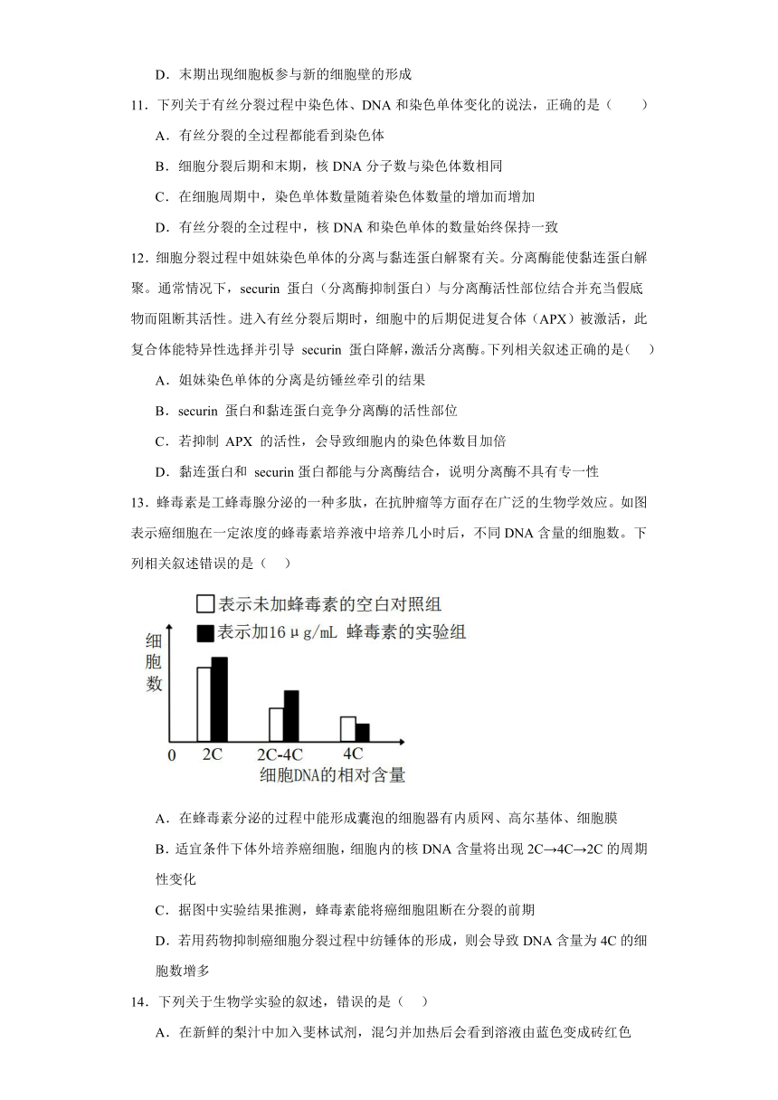 5.1细胞的增殖同步练习（含解析）北师大版（2019）必修1