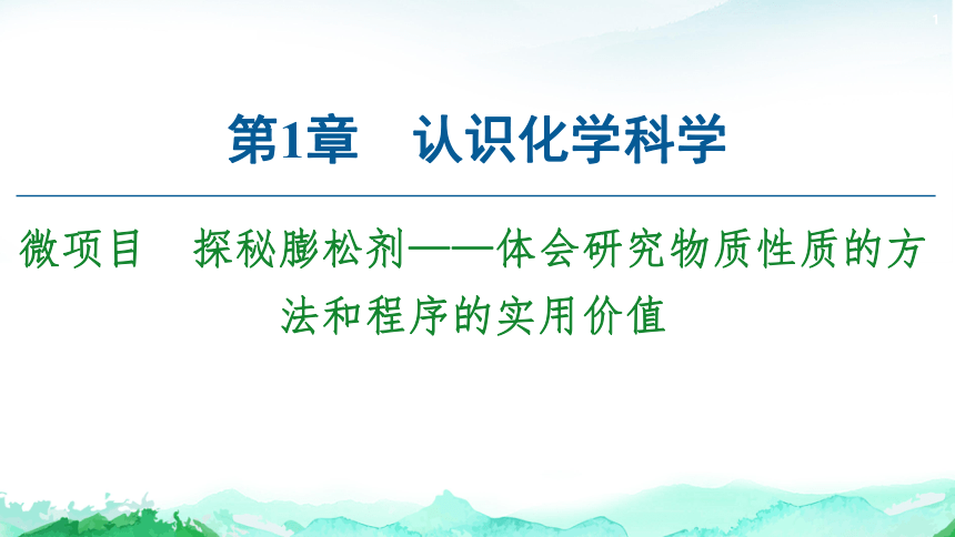 第1章 微项目 探秘蓬松剂——体会研究物质性质的方法和程序的实用价值 课件【新教材】鲁科版（2019）高中化学必修一（51张）