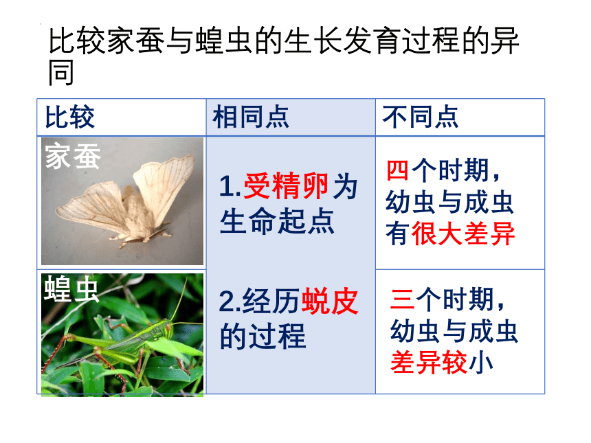 10.2动物的生殖和发育课件(共43张PPT)北京市北京版八年级生物上册