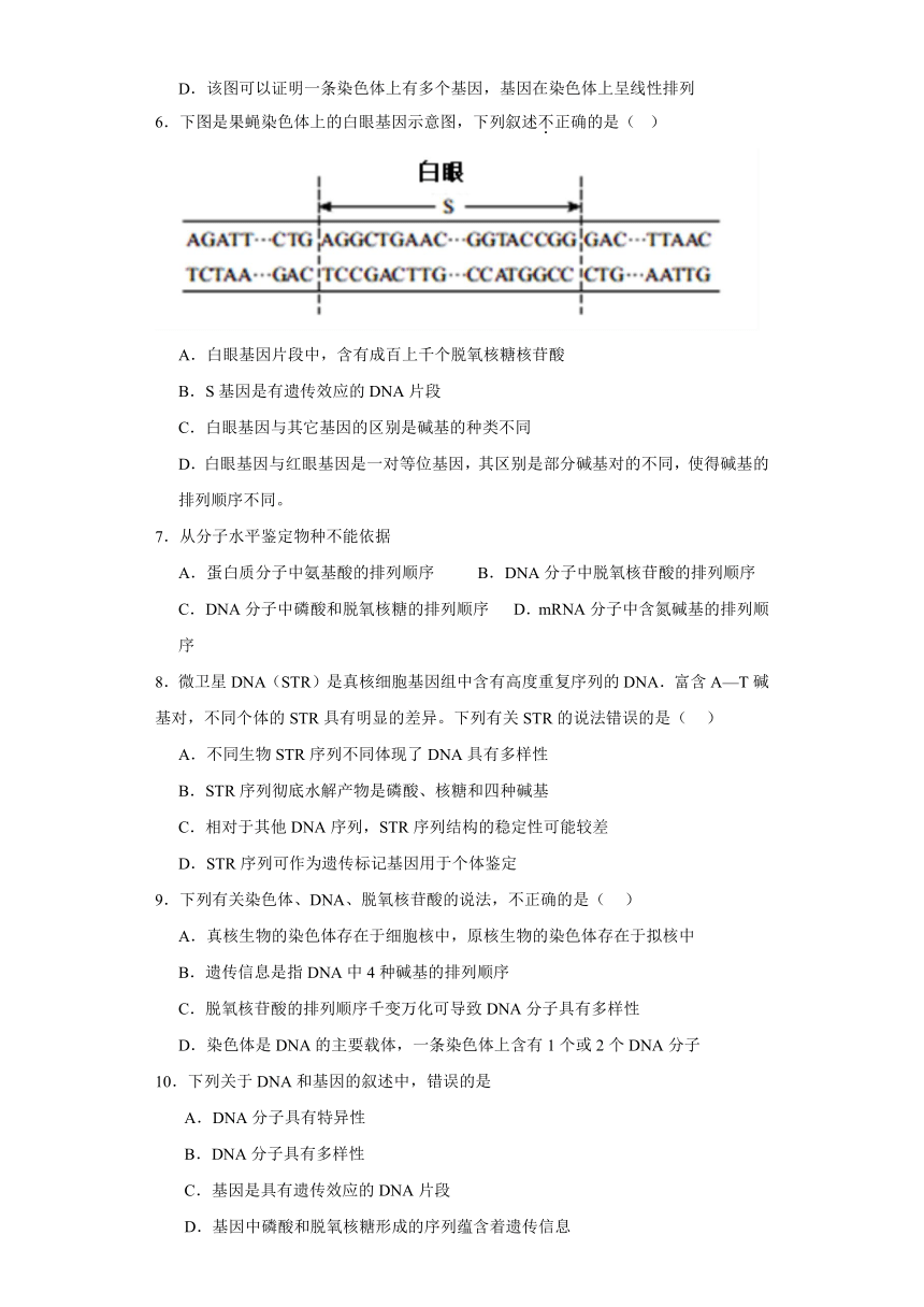 3.4基因通常是有遗传效应的DNA片段 练习（含解析）