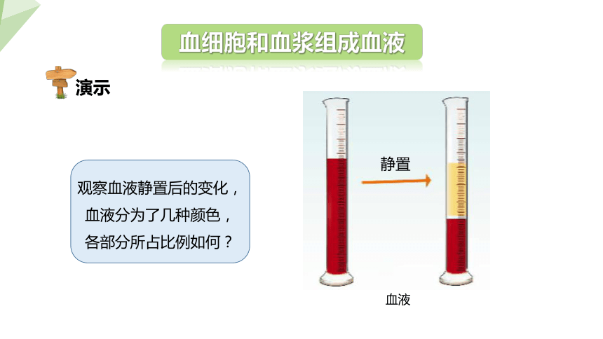 4.9.1 血液 课件（共22张PPT） 2023-2024学年初中生物北师版七年级下册