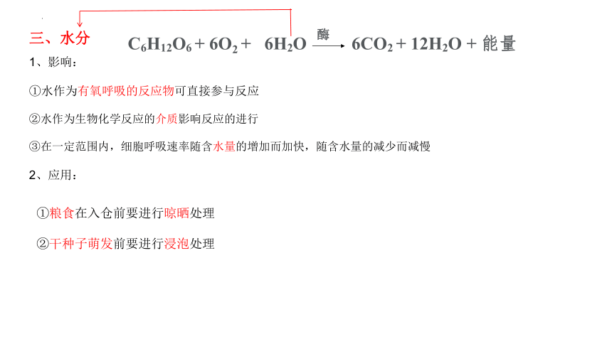 5.3细胞呼吸的原理和应用（第3课时）课件(共13张PPT) 人教版必修1