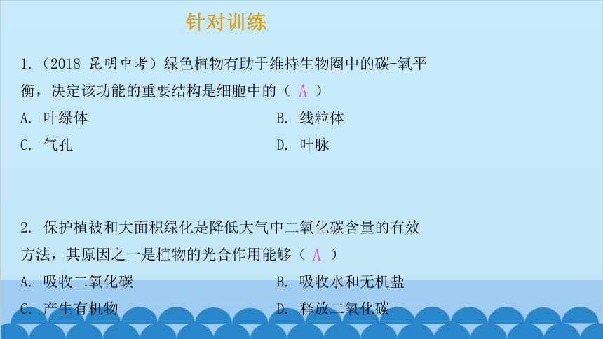 3.7.2 绿色植物与生物圈的物质循环课件(共13张PPT)苏教版生物七年级上册