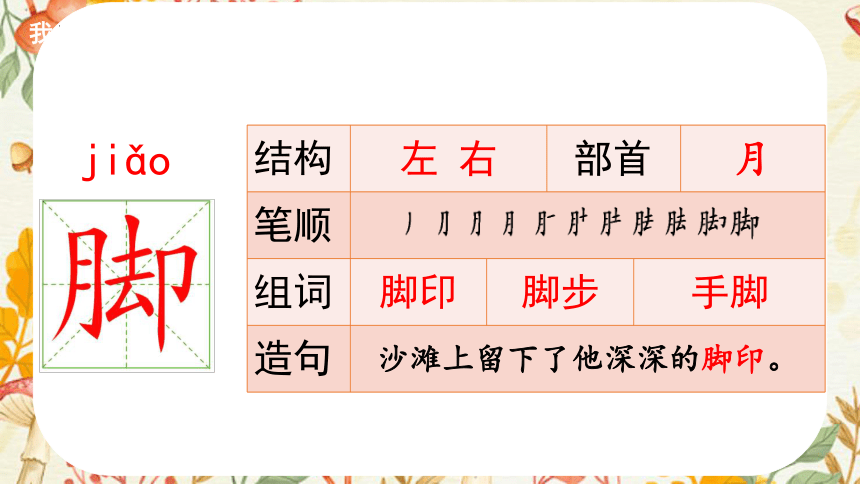 3植物妈妈有办法 课件(共22张PPT)