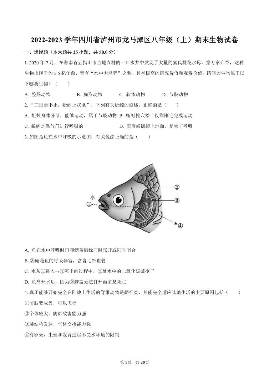 2022-2023学年四川省泸州市龙马潭区八年级（上）期末生物试卷（含解析）