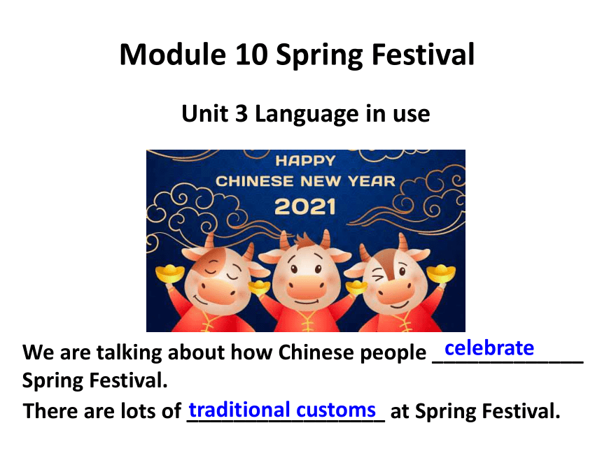 Module 10 Spring Festival Unit 3 Language in use课件（外研版七年级上册）