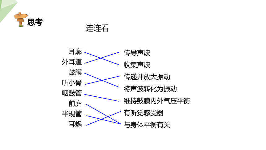 4.12.2 感受器和感觉器官 第2课时 课件(共17张PPT) 2023-2024学年初中生物北师版七年级下册