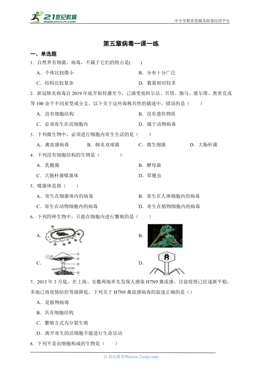 八年级上册5.5病毒一课一练（含解析）