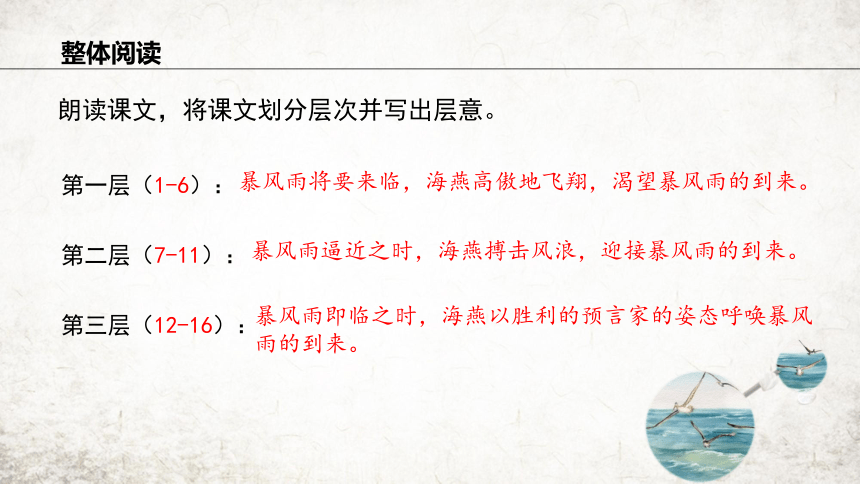 4 海燕 课件(共21张PPT) 2023-2024学年初中语文部编版九年级下册