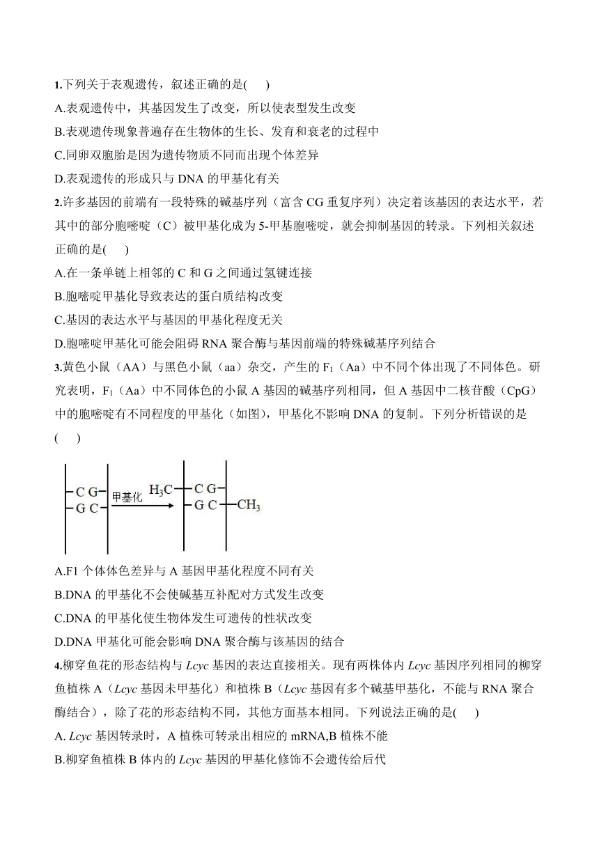 4.2基因表达与性状的关系导学案-2023-2024学年高一下学期生物人教版必修2（含答案）