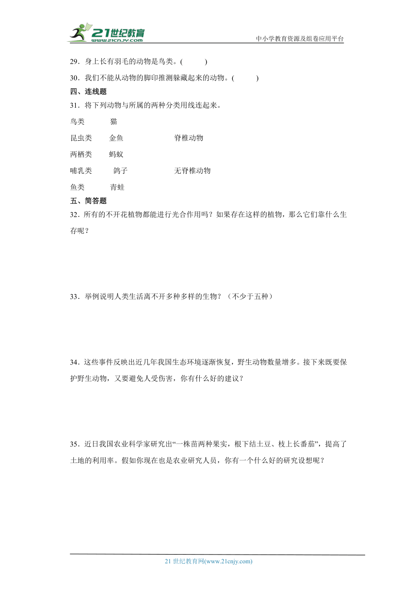 教科版六年级下册科学第二单元生物的多样性综合训练（含答案）