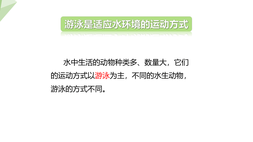 5.15.1  动物运动的方式 课件(共27张PPT) 2023-2024学年初中生物北师版八年级上册