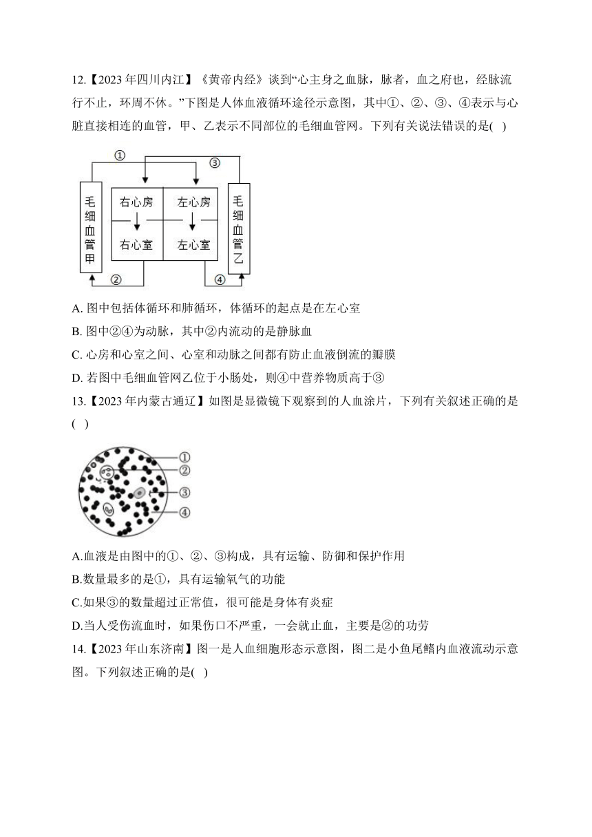 （7）人体内的物质循环——2023年中考生物真题专项汇编（含答案）